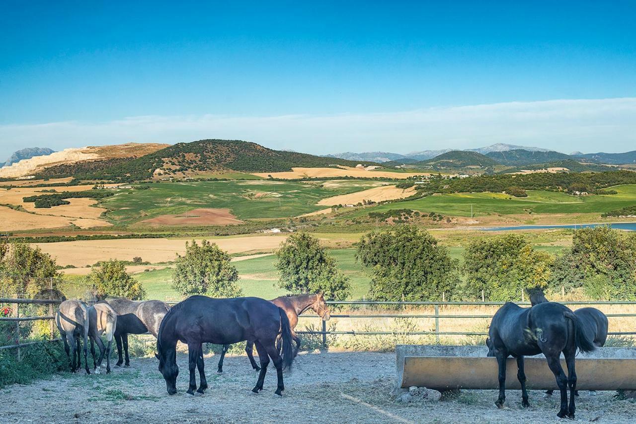 Alterhome Private Villa Cortijo Sierra Y Lago アルコス・デ・ラ・フロンテーラ エクステリア 写真