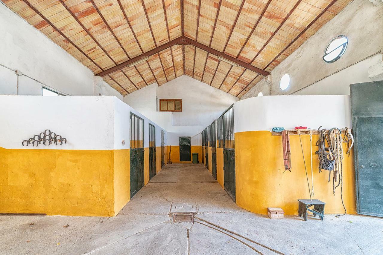 Alterhome Private Villa Cortijo Sierra Y Lago アルコス・デ・ラ・フロンテーラ エクステリア 写真