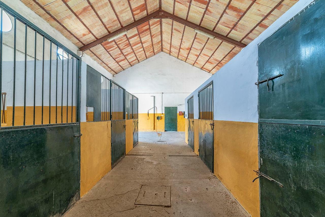Alterhome Private Villa Cortijo Sierra Y Lago アルコス・デ・ラ・フロンテーラ エクステリア 写真