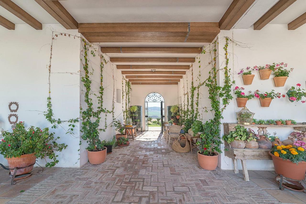 Alterhome Private Villa Cortijo Sierra Y Lago アルコス・デ・ラ・フロンテーラ エクステリア 写真